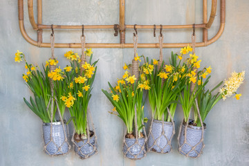 Wall hanging vases with tulips