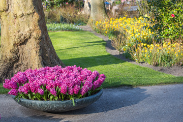 Vase with fowers outdoor