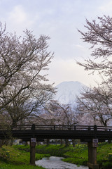富士山と桜　その３