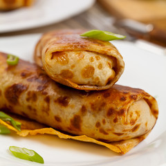 Blintzes or Russian Pancakes with Meat. Selective focus.