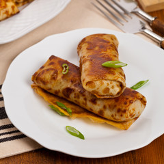 Blintzes or Russian Pancakes with Meat. Selective focus.