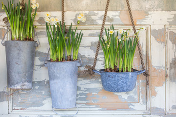 Hanging vases with white and yellow flowers