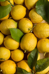 Lemons with leaves and stems