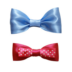 Blue and pink silk ribbon bows