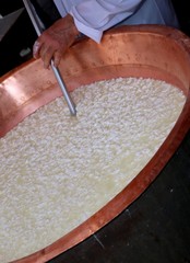 expert cheesemaker stirs the curds into the big copper cauldron