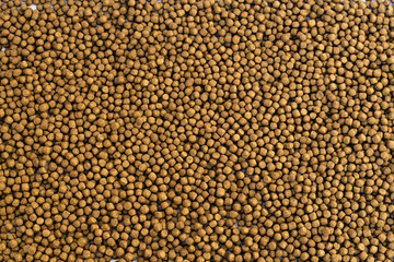 Small Fish feed