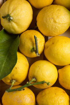 Lemons, stem end, close up