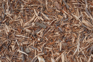 Wood shavings background