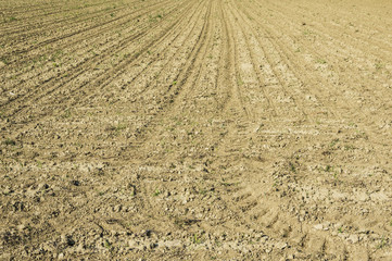 Texture of a cultivated field after passage of tractors and sowing