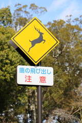鹿の飛び出し注意標識