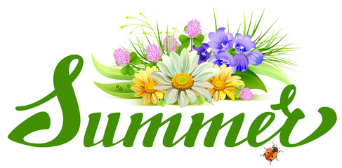 Summer lettering text. Bouquet of wild flowers chamomile, clover, bells