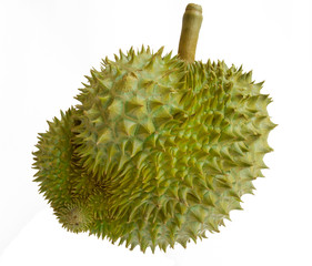 New and fresh Durien from garden isolate on white background