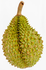 New and fresh Durien from garden isolate on white background