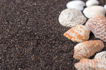 Frame made of seashells on dark sand