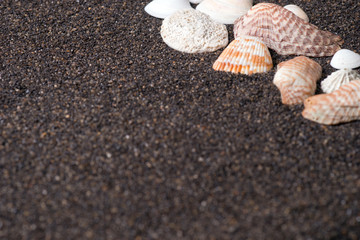 Frame made of seashells on dark sand