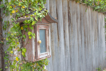 "ตู้จดหมาย" is meaning postbox , Postbox made of wood instate the front door and a fence made of beautiful wood.wood mailbox with wood background