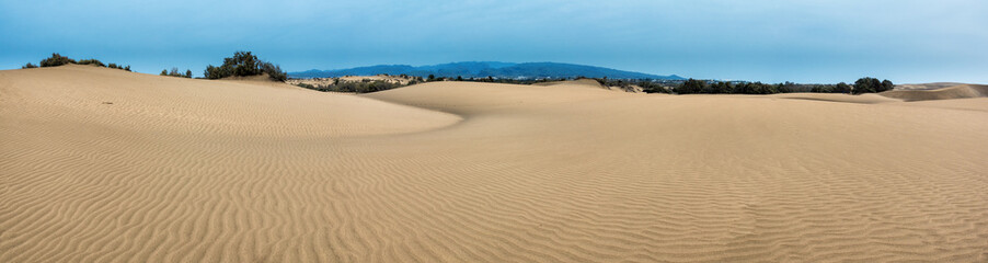 Panorama of sand desert