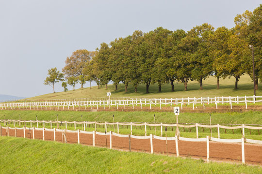 Horse Racing Training Track