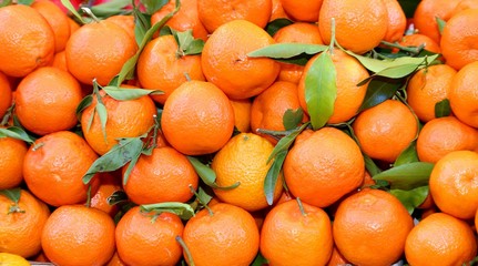 ripe tangerines for sale in greengrocers