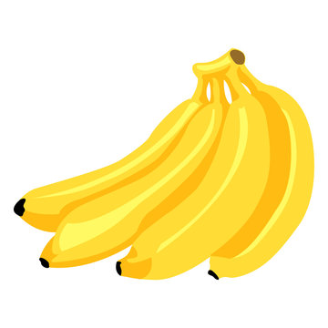 Vector Cartoon Yellow Bunch of Bananas