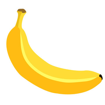 Vector Single Cartoon Banana