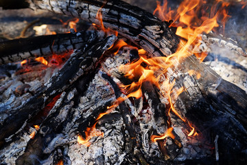 Fire in a wood.