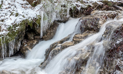 Fototapeta premium Cascade river in forest