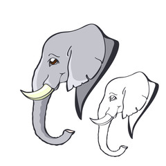 Portrait of a smiling good elephant with small tusks in a cartoon style. Hand-drawn elephant's head in profile. Linear and colorized image.