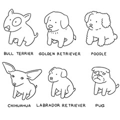 vector set of dog