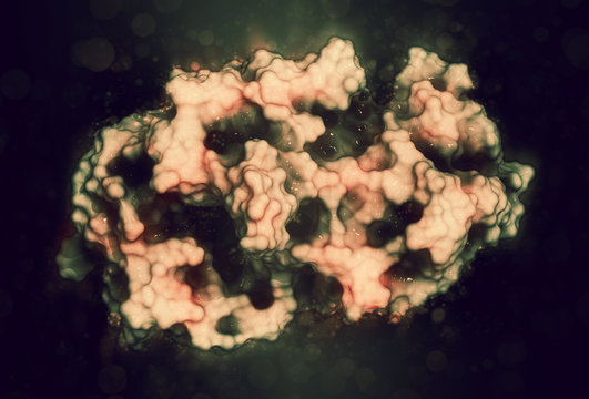 Amylase (human Pancreatic Alpha-amylase) Protein. 