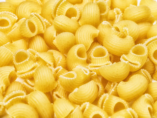 Fondo de Pasta caracolas