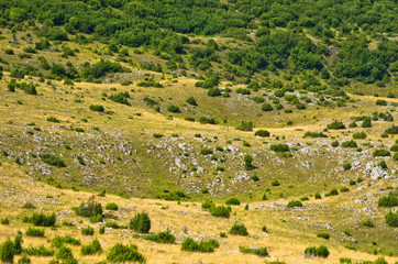 Karst sinkholes, detail from Pester plateau landscape in southwest Serbia