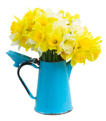 Fresh spring daffodils 