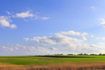 Background image of lush green field