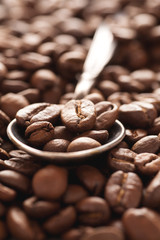 Brown coffee beans in silver spoon