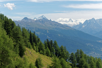 Fototapeta na wymiar Montagnes suisse