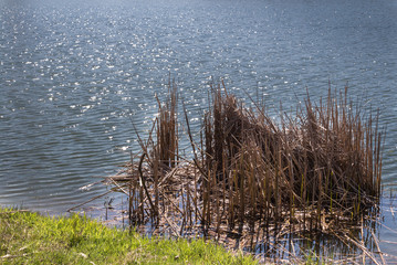 Level of a lake with small sun reflections