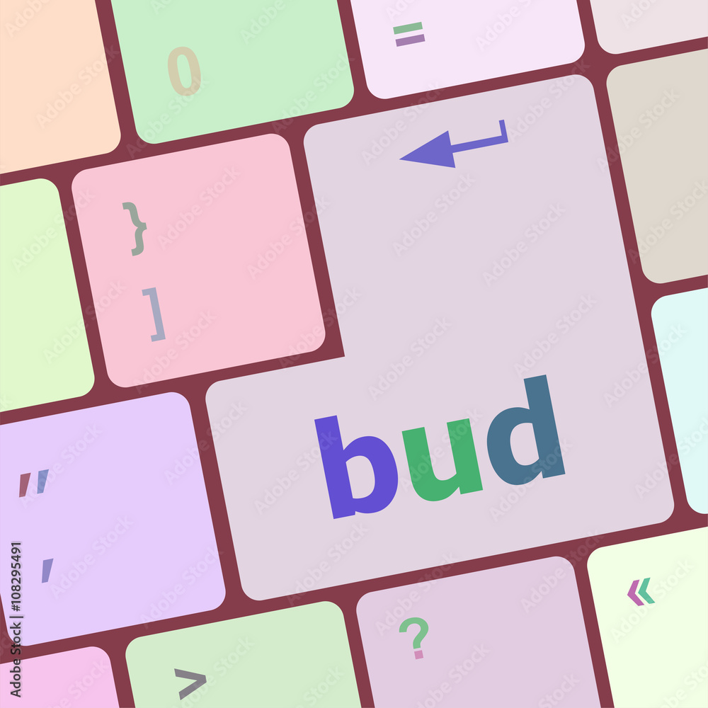 Poster button with bud word on computer keyboard keys vector illustration