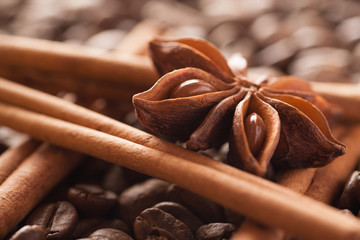 Star anise with cinnamon sticks and coffee beans