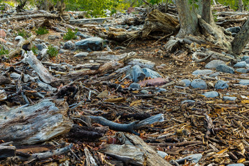 Marvel at the Natural Wonders of Sedona Arizona USA
