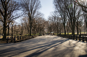 Central Park New York