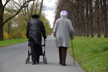 Seniorinnen beim Parkspaziergang
