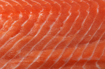 texture of the meat of salmon is filmed close up
