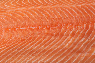 structure of the meat of salmon is filmed close up