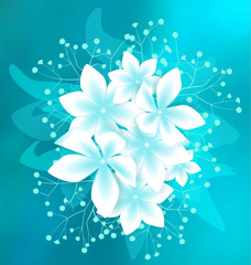 Fototapeta premium Vector White Flowers