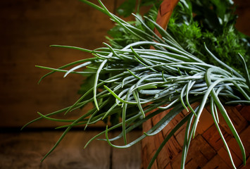 Fototapeta premium Green onions, vintage wooden background, selective focus, shallo