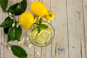 Лимонад с мятой украшенный веткой цветущего лимонного дерева  © lubava84