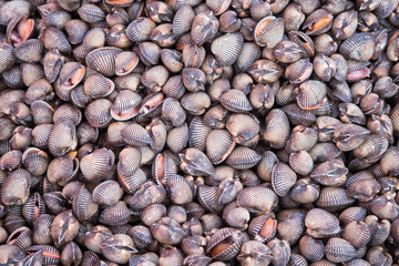 Seafood Market