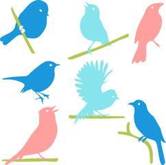 Vector Collection of Bird Silhouettes, colored silhouettes. 