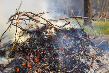 Blazing campfire in nature, outdoors.